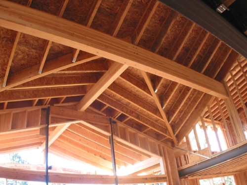 Framing & Roof